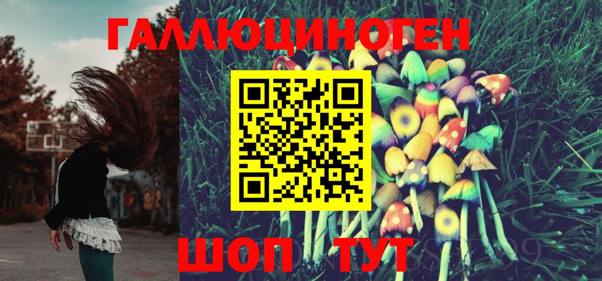 Александров  Галлюциногенные грибы прущие грибы  Вход с VPN  Псилоцибиновые грибы Cubensis 